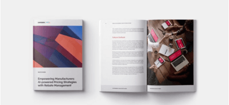 AI POWERED REBATE PRICING MANAGEMENT visual data 4