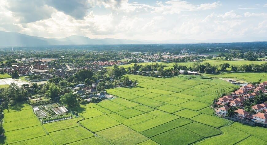 Landscape, image