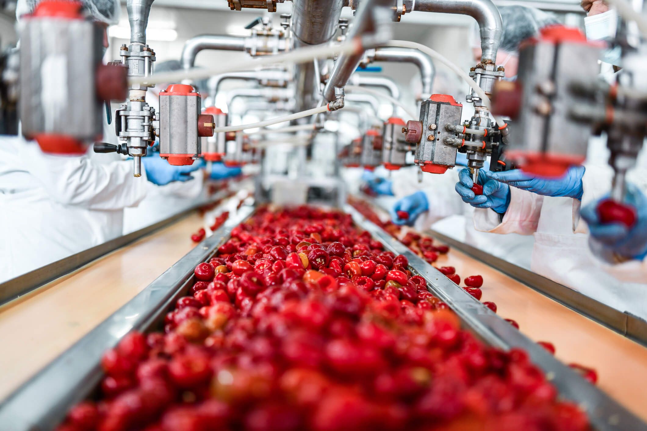 Food ingredients manufacturer blows past margin growth goals with PROS image