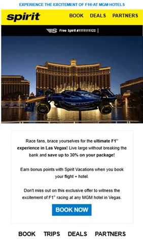 Spirit Airlines Example Image