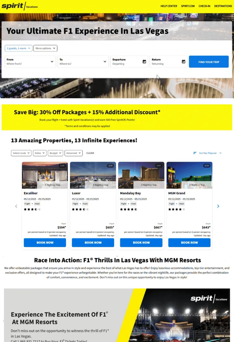 Spirit Airlines Example Image