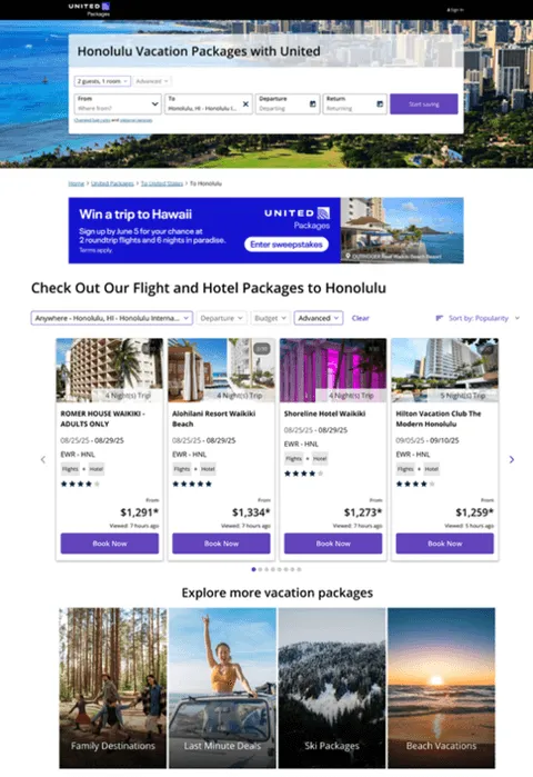 United Airlines Example Image