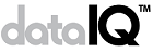 DataIQ logo