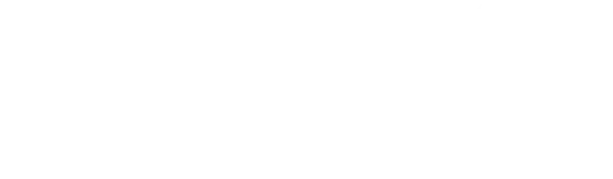 Borg Automotive Group logo